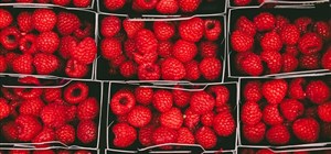 Berry Hacks – How to Keep Berries Fresher for Longer