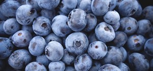 The Powerful Health Benefits of Blueberries
