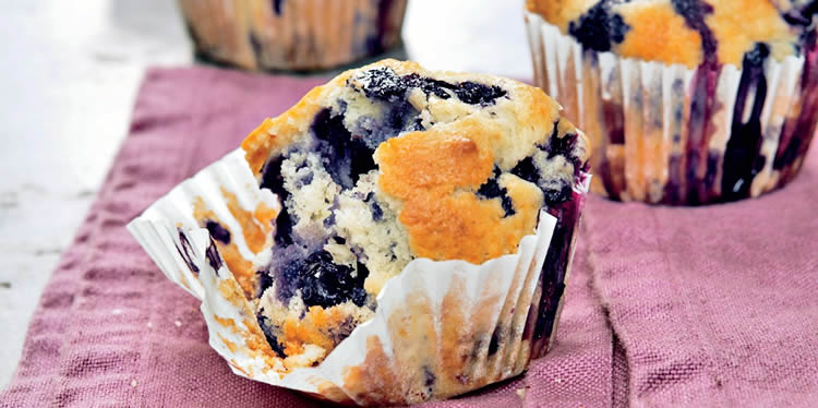 Blueberry Muffin Recipe