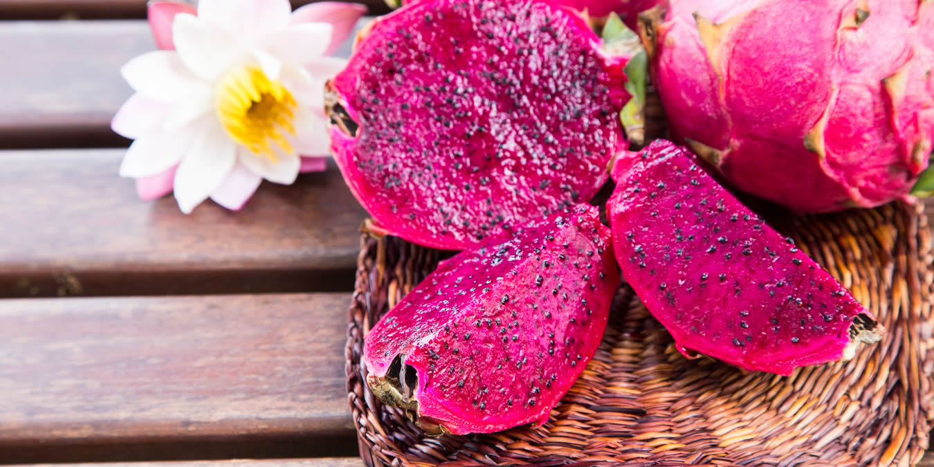 Dragon Fruit